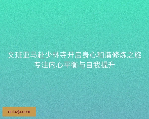文班亚马赴少林寺开启身心和谐修炼之旅专注内心平衡与自我提升