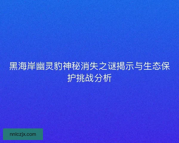 黑海岸幽灵豹神秘消失之谜揭示与生态保护挑战分析