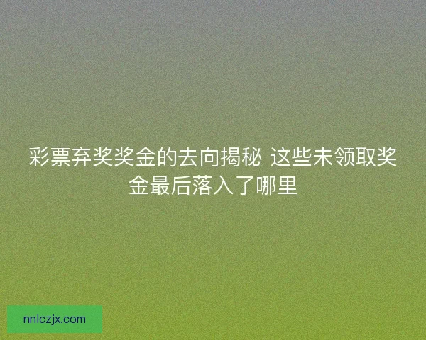 彩票弃奖奖金的去向揭秘 这些未领取奖金最后落入了哪里